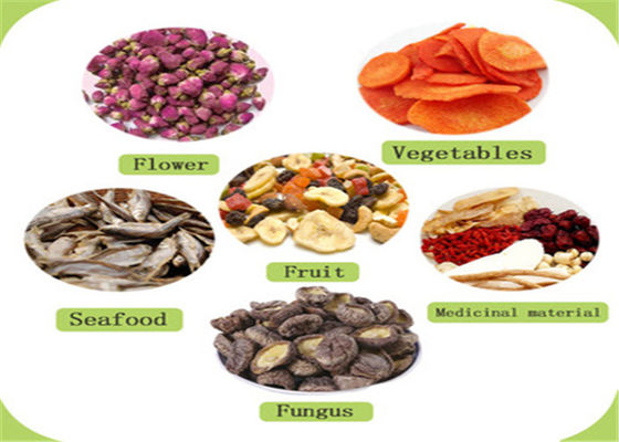 2-8 reeksenkarretje 220V Hete het Aan de lucht drogen Oven For Ceramics Custom Heating Bron